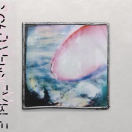 Murmuration Clip (LP 12")