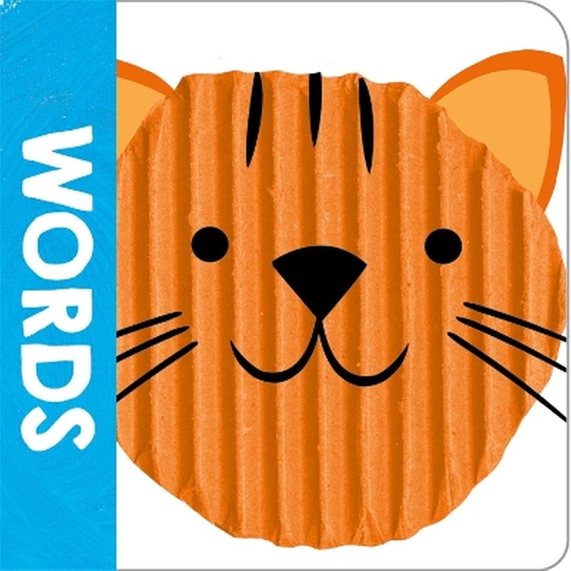 See, Touch, Feel Words (Chunky Set)