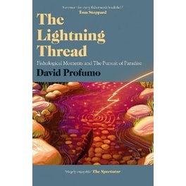 Lightning Thread