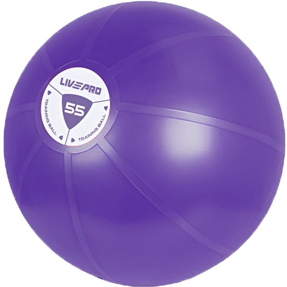 Μπάλα γυμναστικής Livepro Κινησιοθεραπείας Core Fit Β-8201 55cm - Μωβ image 0