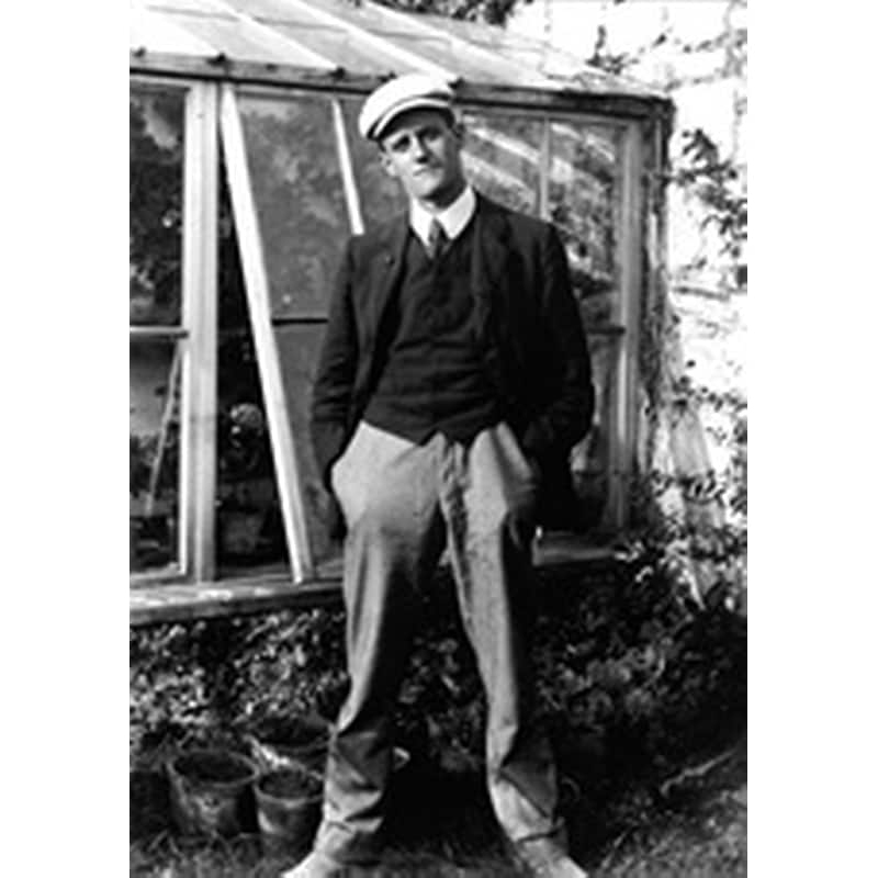 Author picture