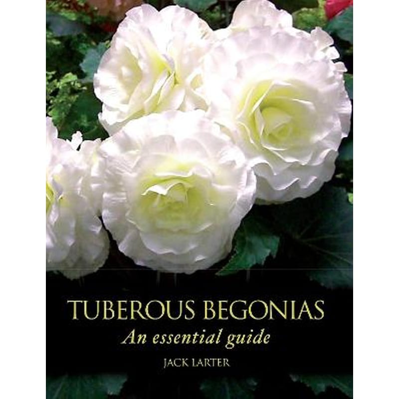 Tuberous Begonias