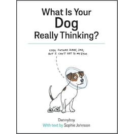 What Is Your Dog Really Thinking