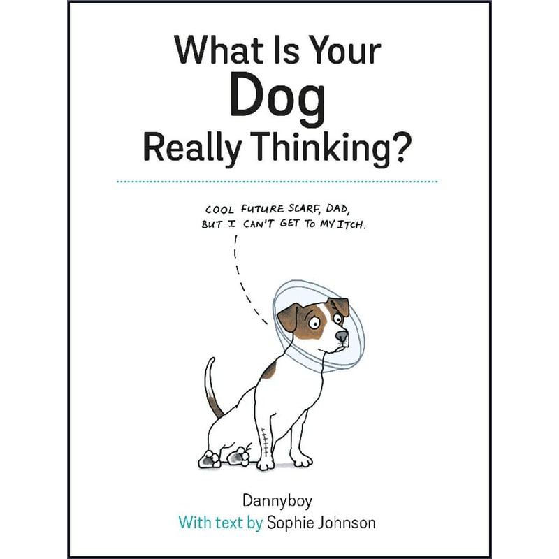 What Is Your Dog Really Thinking