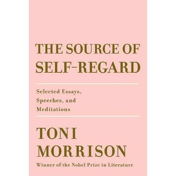 The Source of Self-Regard image 0