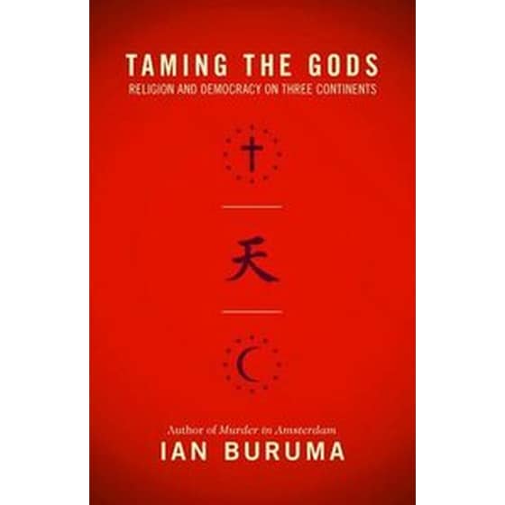 Taming the Gods image 0