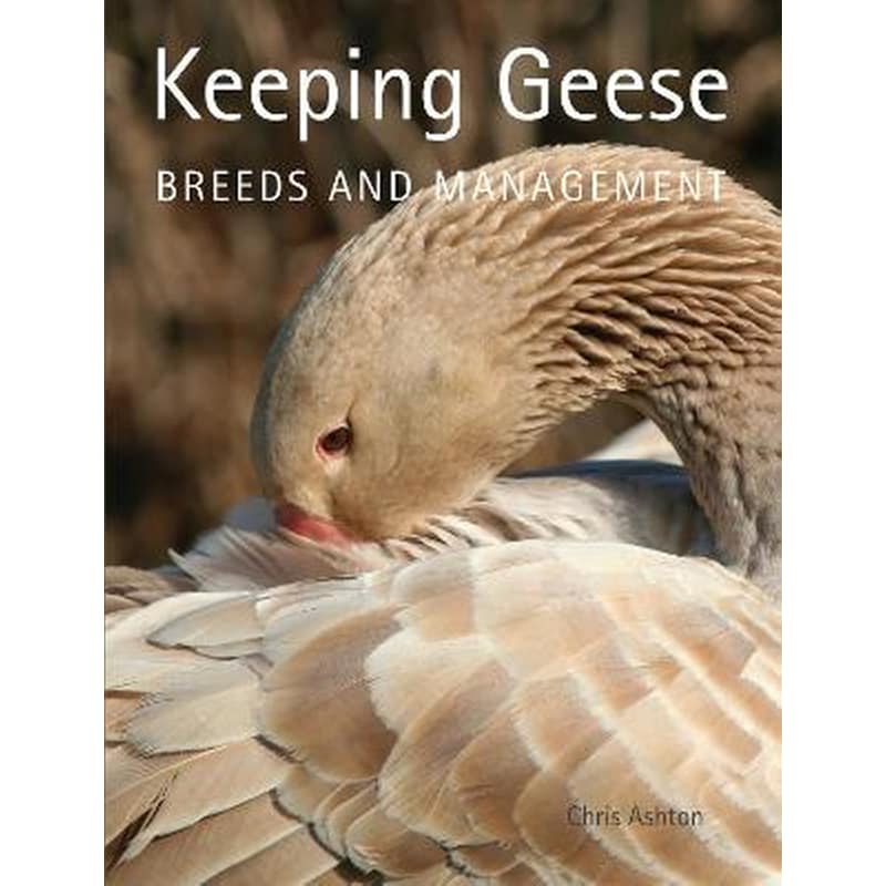 Keeping Geese