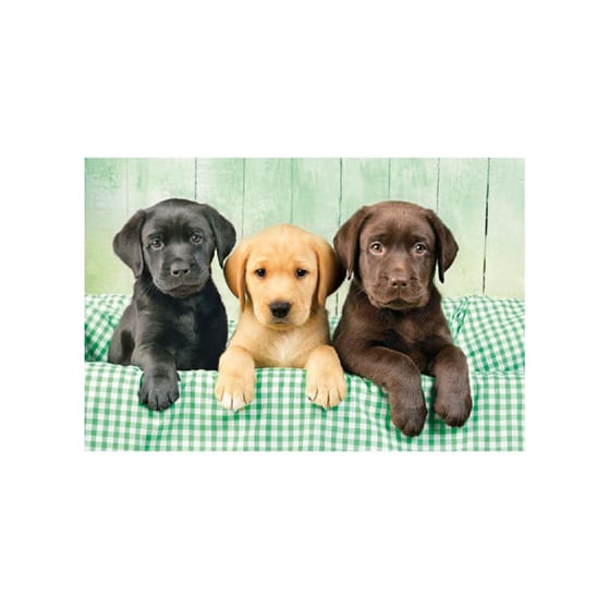 Παζλ Clementoni H. G. Κουταβάκια Λαμπραντόρ (1000 Κομμάτια) image 1