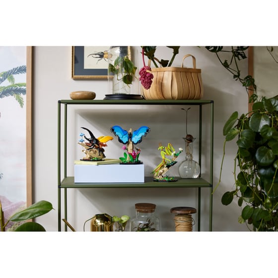 LEGO®Ideas The Insect Collection (21342) image 12