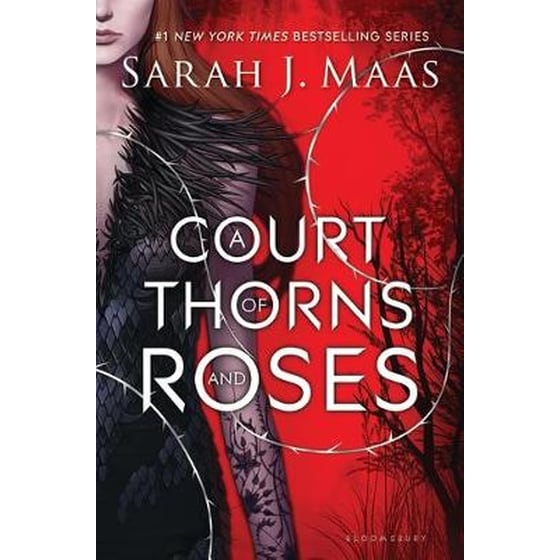 A Court of Thorns and Roses image 0