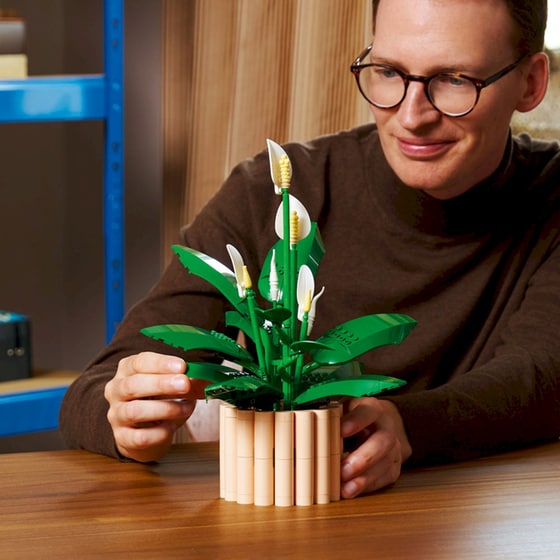 LEGO® Botanicals Σπαθίφυλλο (11504) image 2