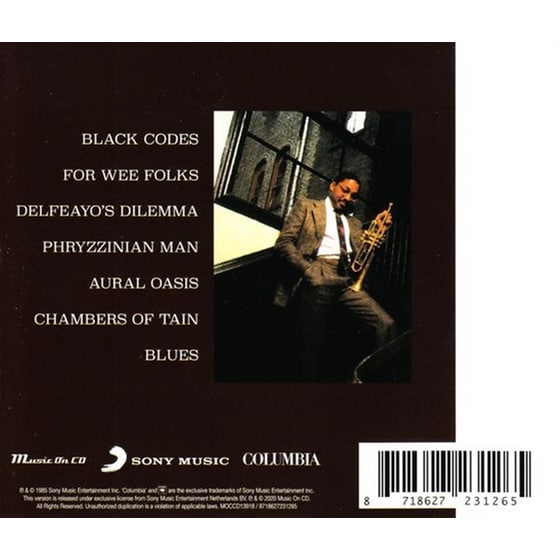 Black Codes (From The Underground) image 2