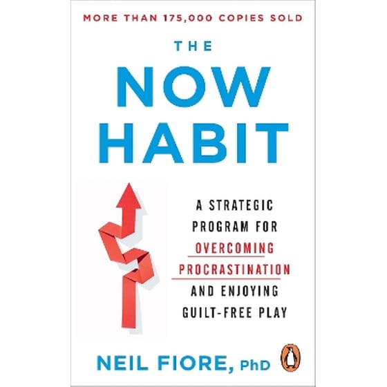 The Now Habit image 0