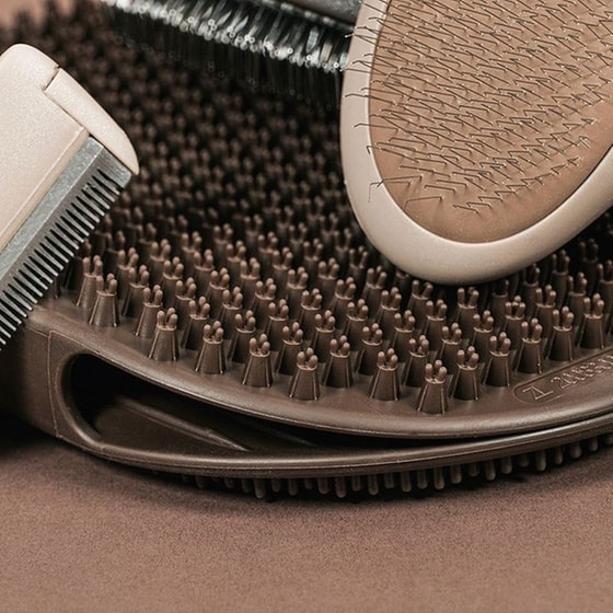 Βούρτσα GLORIA Οβάλ Καφέ image 2