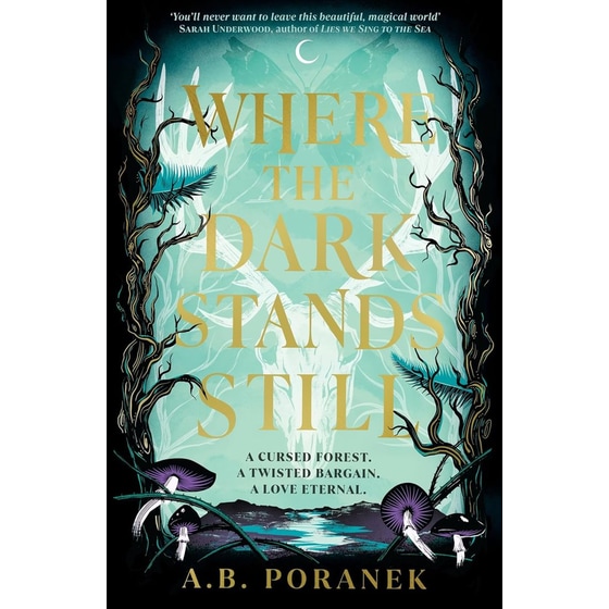 Where the Dark Stands Still image 0