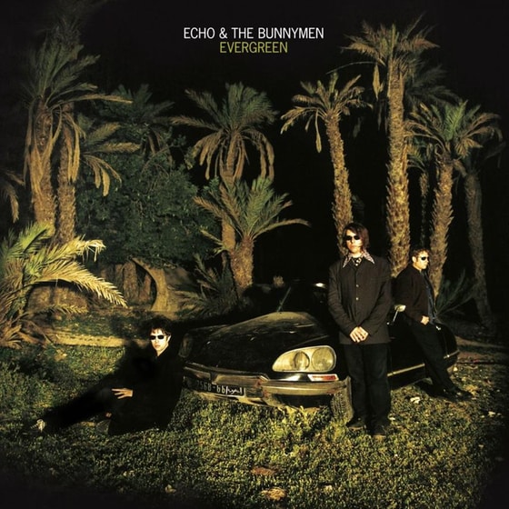 Evergreen (Standard Edition) image 1
