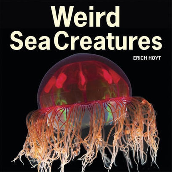 Weird Sea Creatures image 0