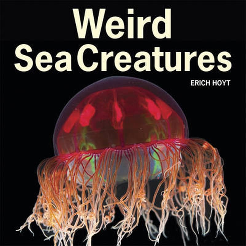Weird Sea Creatures