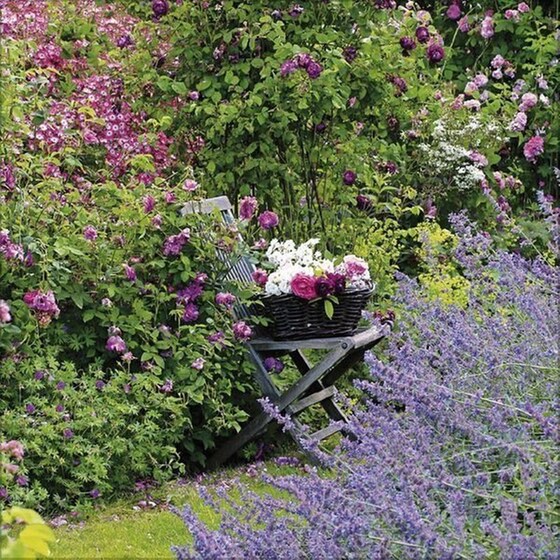 Ημερολόγιο Τοίχου 2025 Gartenträume image 6