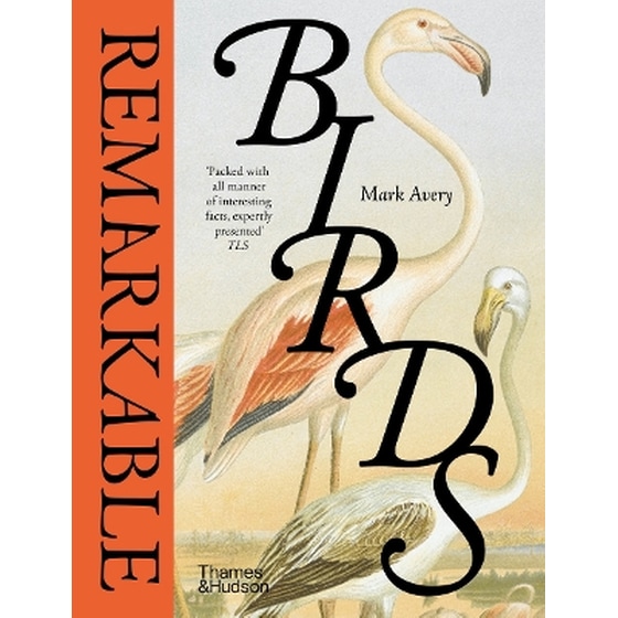 Remarkable Birds image 0