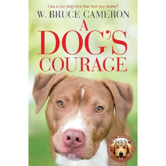 A Dog's Courage image 0