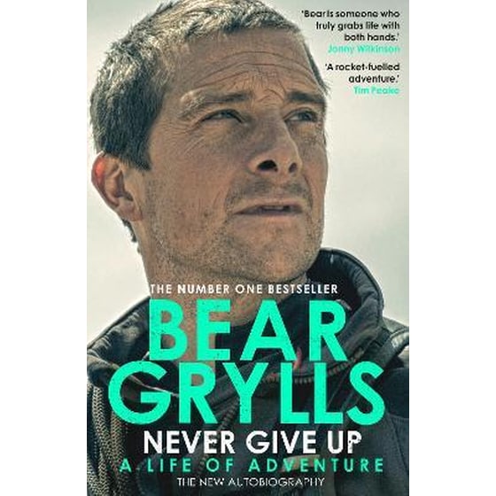 Never Give Up image 0