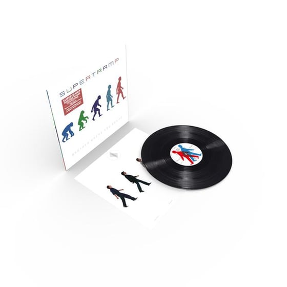 Brother Where You Bound (LP) image 5