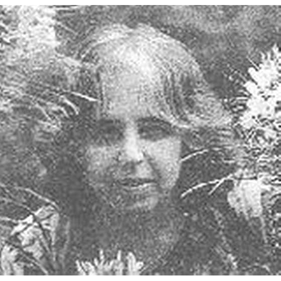 Πώς λένε καληνύχτα οι δεινόσαροι image 1