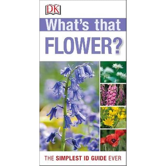 What's that Flower? image 0