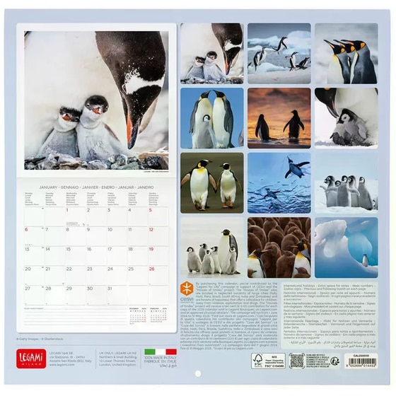 Ημερολόγιο Τοίχου Legami 2025 Penguins 30x29 cm image 2