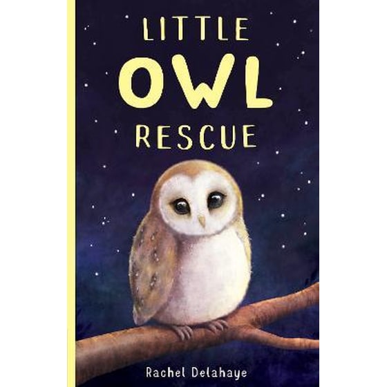 Little Owl Rescue image 0
