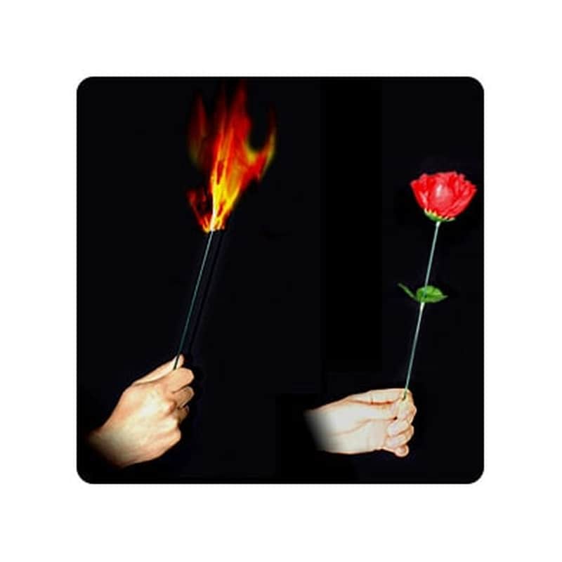 Torch To Rose