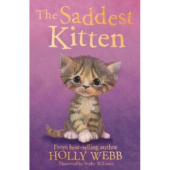 The Saddest Kitten image 0