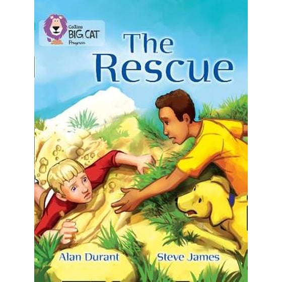 The Rescue The Rescue- Band 07 Turquoise/Band 17 Diamond image 0