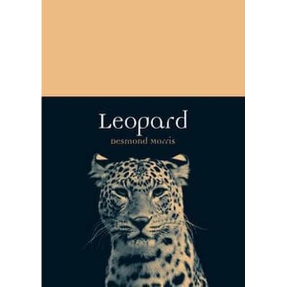Leopard image 0