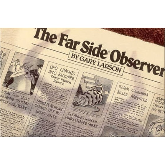 Far Side Observer image 0