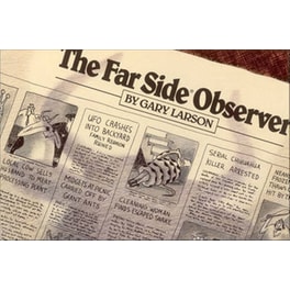 Far Side Observer