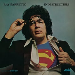 Indestructible (LP)
