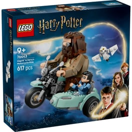 LEGO® Harry Potter Hagrid™ & Harry's Motorcycle Ride (76443)