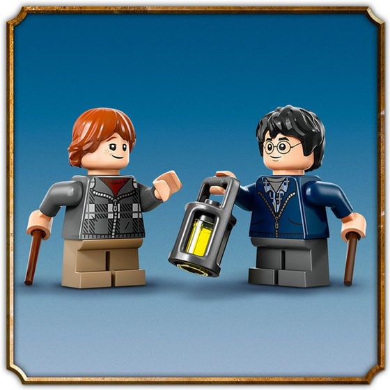 LEGO® Harry Potter Aragog in the Forbidden Forest™ (76434) image 5