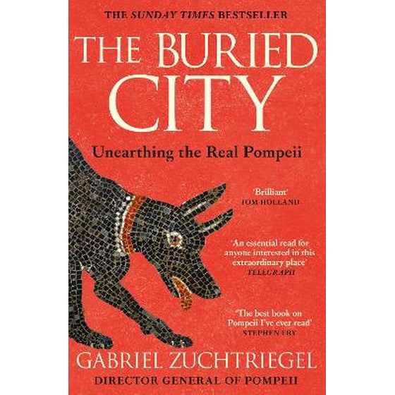 The Buried City image 0