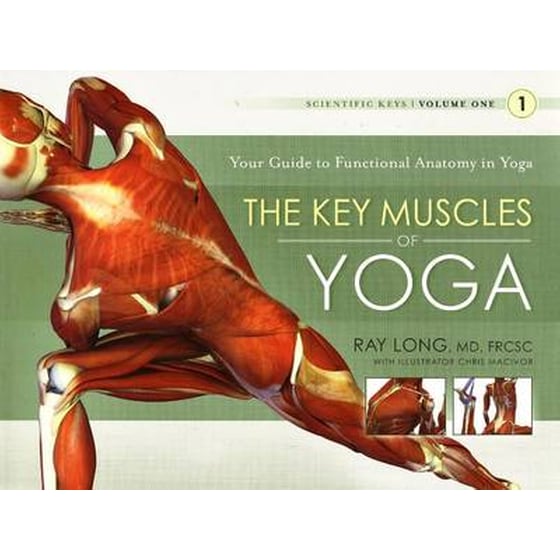 Key Muscles of Yoga- Your Guide to Functional Anatomy in Yoga image 0