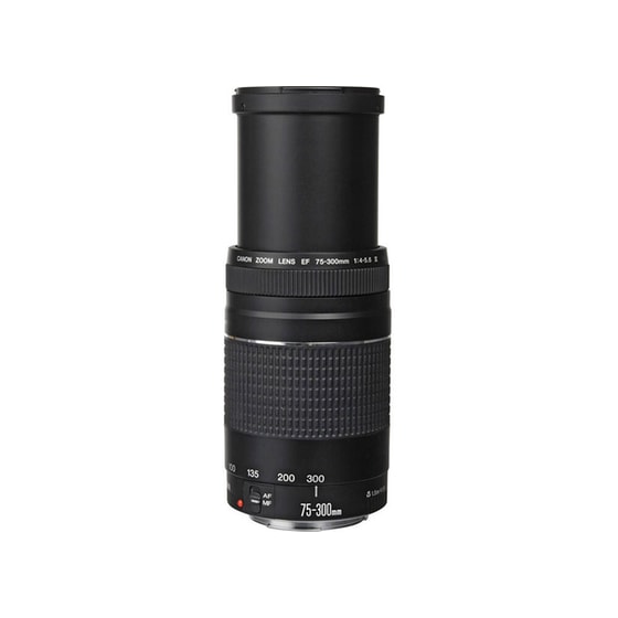 Canon EF 75-300 mm f/4 - 5.6 III - Canon DSLR Lens image 2