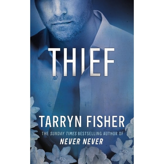 Thief image 0