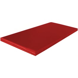 Στρώμα Γυμναστικής Safe Durum 55 από Nylon 200x100 cm - Κόκκινο