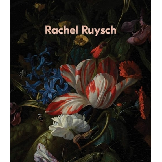 Rachel Ruysch: Nature into Art image 0