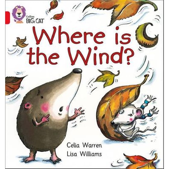 Where is the Wind? Where is the Wind?- Band 02B/Red B image 0