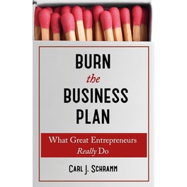 Burn The Business Plan