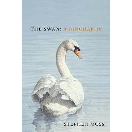 The Swan image 0
