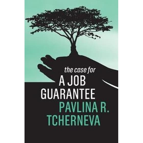Case for a Job Guarantee image 0